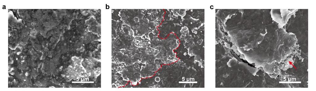 Supplementary Figure 13. Layered Li-rGO electrode surface after 100 galvanostatic cycles. a, SEM image of the layered Li-rGO electrode surface after 100 cycles with SEI coverage.