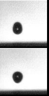 Dynamics of Droplet-Film Collision Click