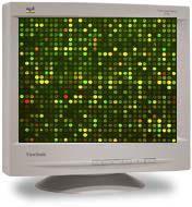 Classic Expression Array Experiment Cell Population #1 Cell Population #2 Extract mrna Extract mrna Make cdna Label w/ Green Fluor Make cdna Label w/ Red Fluor Co-hybridize Gene 1.