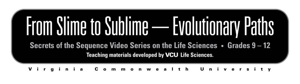 For Classroom Trial Testing Video Description Secrets of the Sequence, Show 141, Episode 2 From Slime to Sublime approximately 10 minutes viewing time While we are similar to our fellow man in size,