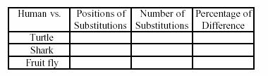 8 Procedure 1. Compare each organism s cytochrome in Figure 1 to human cytochrome. Record the position of each amino acid substitution and the total number of substitutions in Table 1. 2.