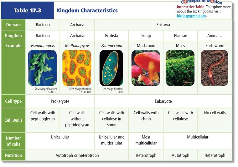 Dichotomous Keys consists of a series of choices that lead the used to the correct identification of an organisms. Scientists group organisms based on their characteristics.