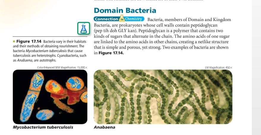 o Know differences between eubacteria and archeabacteria (especially where they live!