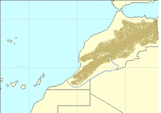 Tan-Tan Sidi Ifni Agadir Souss Valley MOROCCO Oued Draa Ouarzazate ALGERIA Dec 96 Bechar rainfall (mm) 60 40 20 Dec avg 0 The weather in North-West Africa was dominated by several eastward-moving