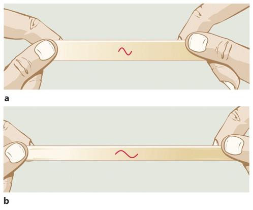 Analogy - Rubber Band Space expands, like stretching a rubber band Not only do distances grow