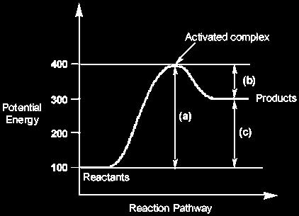 Potential Energy Changes During an Endothermic Reaction (b) = activation energy (c) = Δ H So in an endothermic reaction, there is an increase in the initial energy of the reaction meaning that the