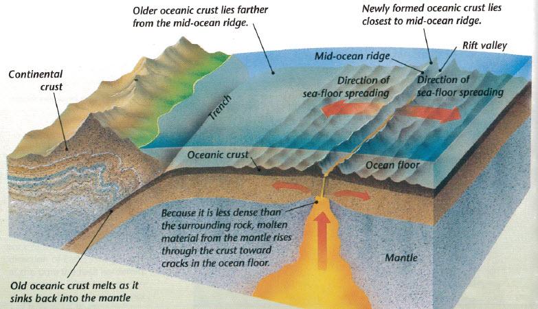 Magnetic strips rock forms from molten material magnetic materials inside the rock line up in the direction of the magnetic poles unseen magnetic strips are on the ocean floor occasionally, the
