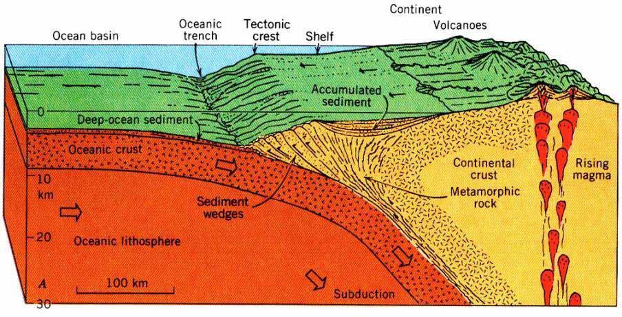 Features of Subduction subduction interface Oceanic fracture zone Sumatran fault Obliquity of subduction has led to formation of