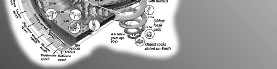 basis for determining the age of fossil and