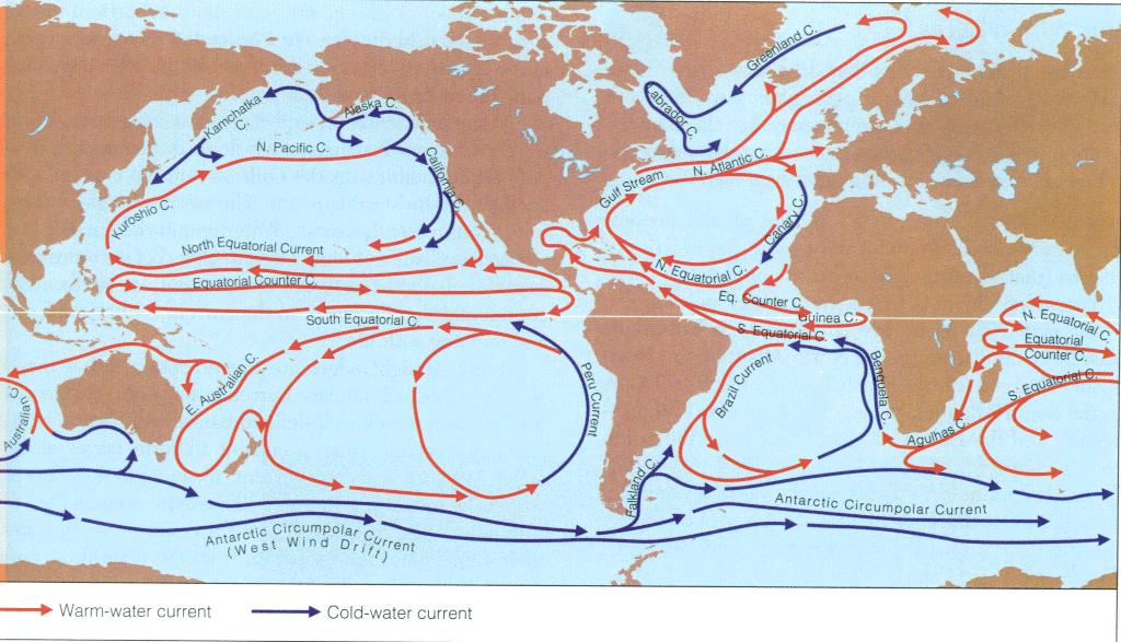 Atlantic Gyre Indian Ocean Gyre The 6 th and the largest current: Antarctic