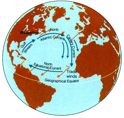 Characteristics of the Gyres (Figure from Oceanography by Tom Garrison) Volume transport unit: 1 sv = 1 Sverdrup = 1 million m 3 /sec (the Amazon river has a transport of ~0.