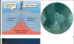 Hydrothermal Vents Fracture Zones and Transform Faults