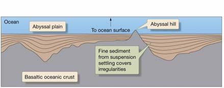 particles Sediments cover ocean
