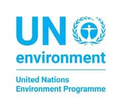 UNITED NATIONS EP Distr. LIMITED UNEP(DEPI)/CAR WG.38/5 Rev.