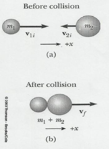 Consider two particles of mass m 1 and m 2 move with initial velocity v 1i and v 2i along a straight line Two particles