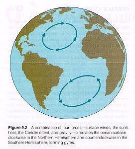 Northern Hemisphere 2 gyres - clockwise rotation Southern