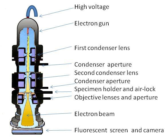 2) Why do we use electrons as a probe? 1. Easy to produce high brightness electron beams 2. Easily manipulated 3. High energy electrons have a short wavelength 4.