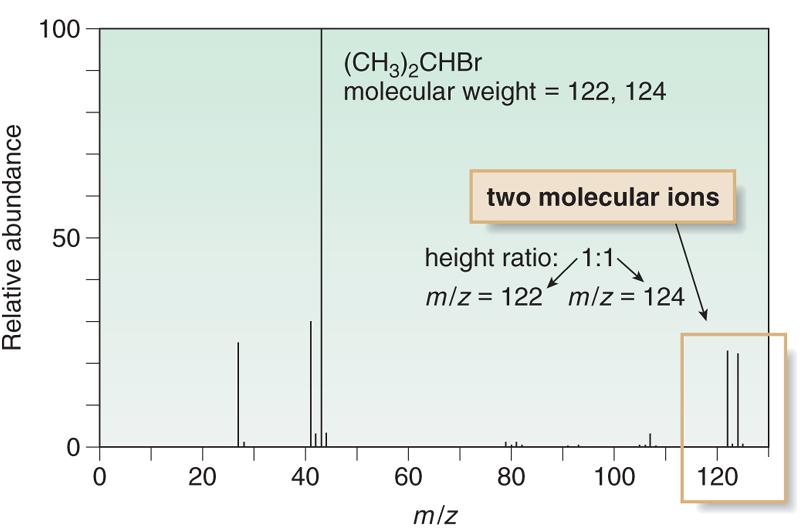 Mass Spectrometry Alkyl Halides and the M + 2 Peak