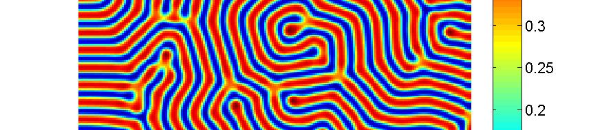(a) (b) 5 8 6 4 2 8 6 4 2 0 500 1000 1500 2000 2500 3000 (c) 5 5 0 500 1000 1500 2000 2500 3000 (d) Figure 4. Spatial distribution of prey obtained at t = 3000 for α = 2.15, β = 1, γ = 0.