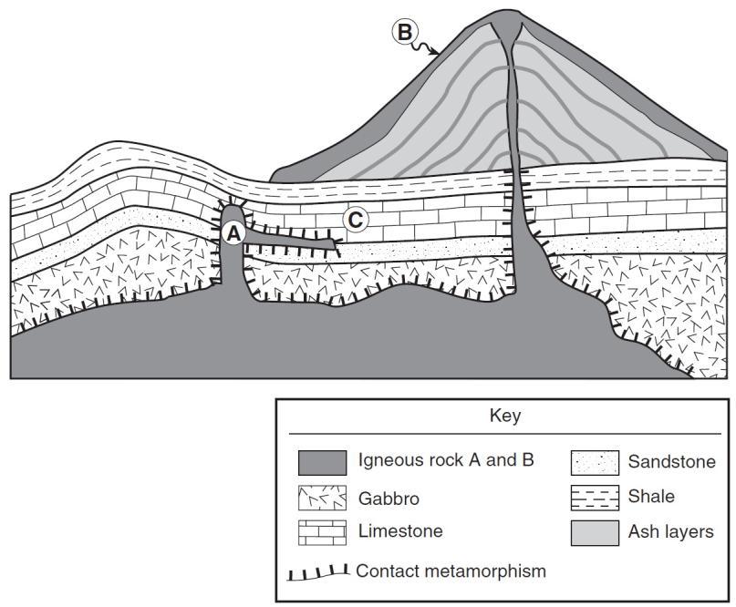 6) 7) Regents questions: 1. Geologic cross sections A through F shown below represent different stages in the development of one part of Earth s crust over a long period of geologic time.