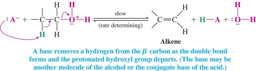 Mechanism for Dehydration of Primary Alcohols is E2 t Primary alcohols cannot undergo E1 dehydration because of the instability of the carbocation-like transition state.