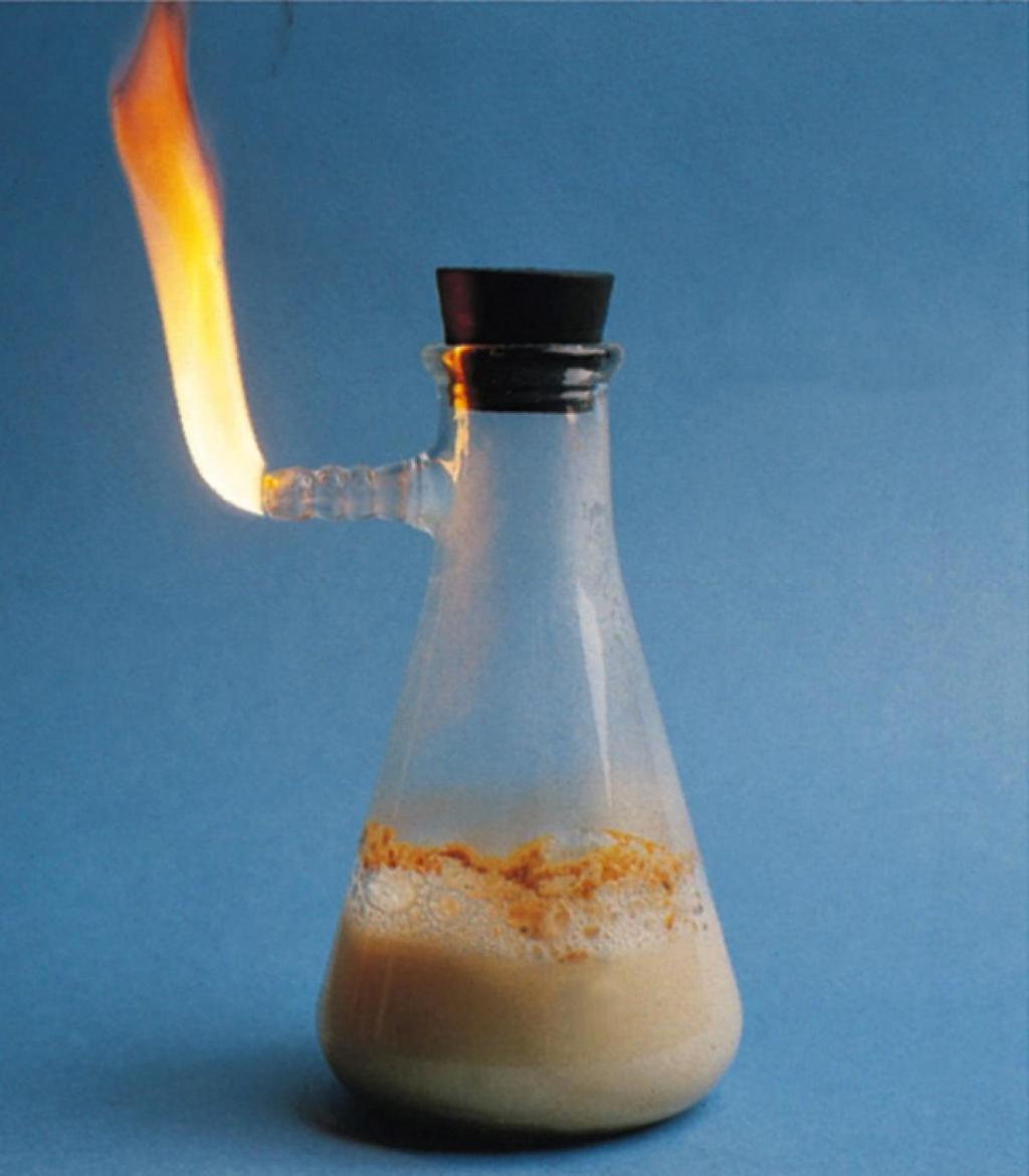 Here acetylene is prepared by the reaction of water with calcium carbide, CaC 2.