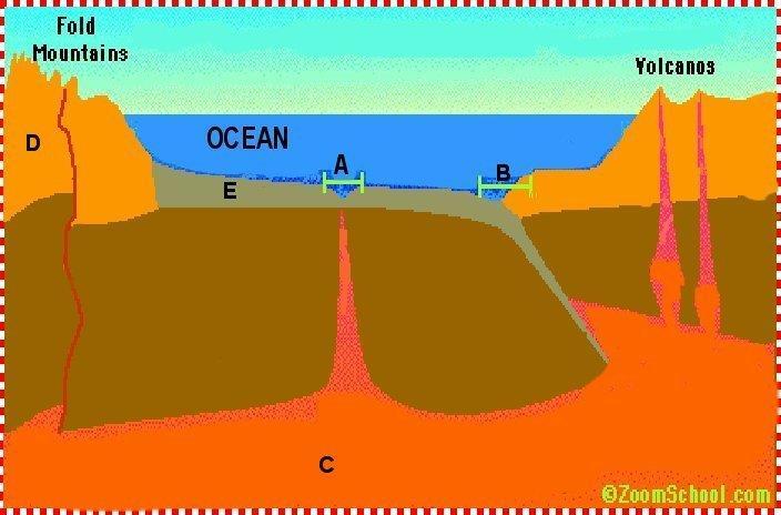 Compressional forces occur along convergent plate boundaries where 2 plates move towards