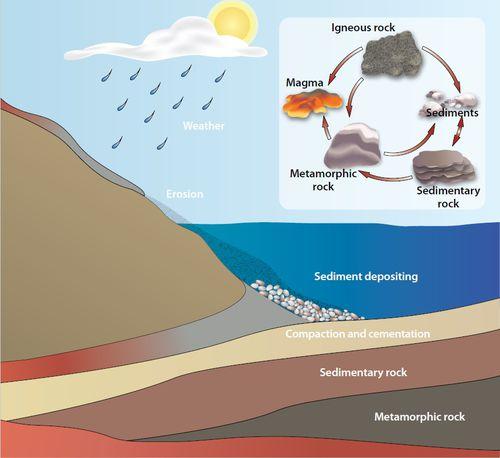 The Rock Cycle Imagine that the sediments end up in a lake, where they settle to the bottom. Over long periods of time, more layers of sediments are deposited on top of them.