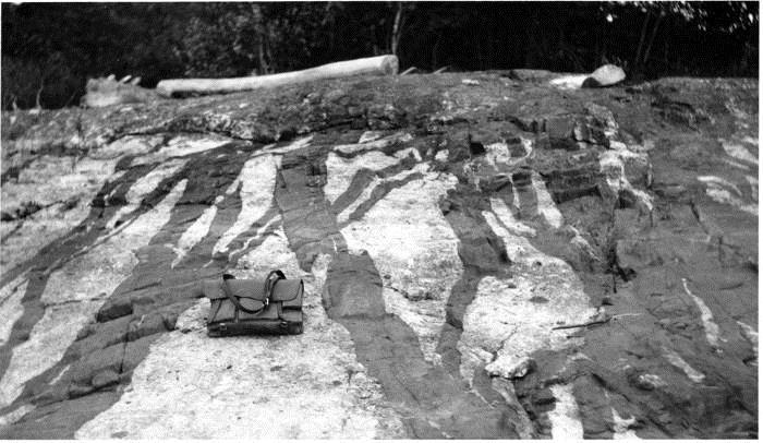 Photo by Bastin, 1911 "Striped Ledge" on Keewaydin Lake Edson Bastin Only the closer view (Figure 3) was used in Bastin's publication, in which it is captioned as follows: "Network of diabase dikes
