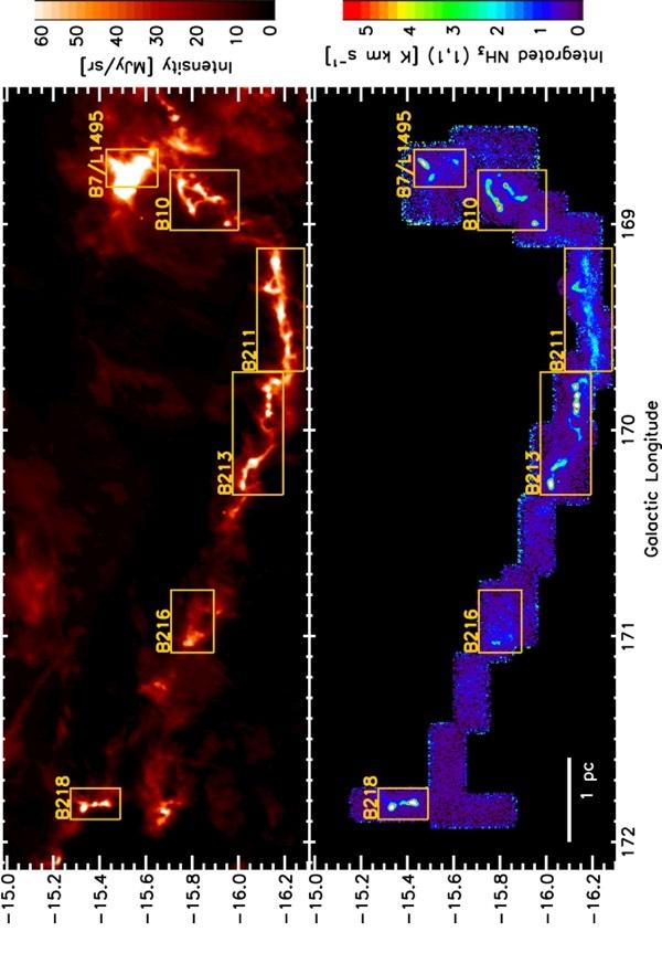 Star Formation in a Filament in Taurus Dust