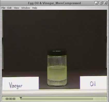 Activity 2: Add detergent to your oil and water mixture, cap the bottle, and shake well.