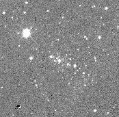 4 Céline Reylé & Annie C. Robin: Search for star clusters with DENIS Fig.1. DENIS K s -band images of the new star clusters. Left: Gum 25 cluster. Right: W40 cluster. The size of the images is 5.