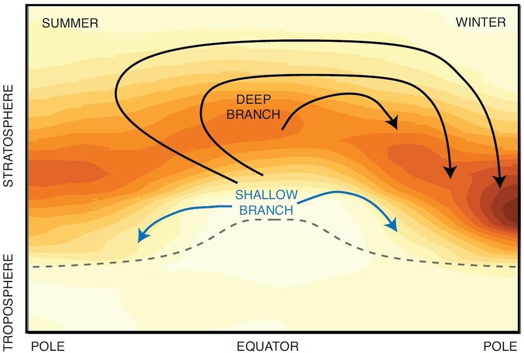 The Brewer-Dobson circulation Due to climate