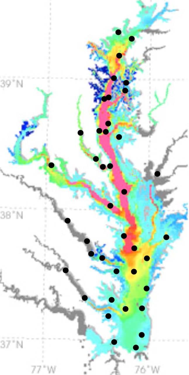 Observations: S and DO from Up to 40 CBP station locations CI Challenge (data storage and formats) Data set for model skill assessment: ~ 40 EPA Chesapeake Bay stations Each