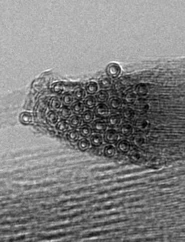 nanotubes TEM