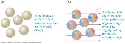 When an electric field is applied, they show a preferential alignment as in Fig. 4.8 (b). Fig. 4.8 Even non-polar molecules will become weak dipoles in the presence of an electric field.