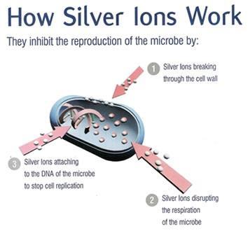 Applications: Antibacterial uses of Ag nanoparticles Silver ion released from