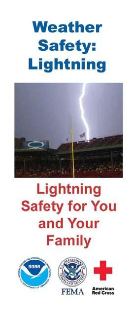 a web site where survivors can find additional information and support. Finally, the health section includes stories from lightning strike survivors. Figure 10.