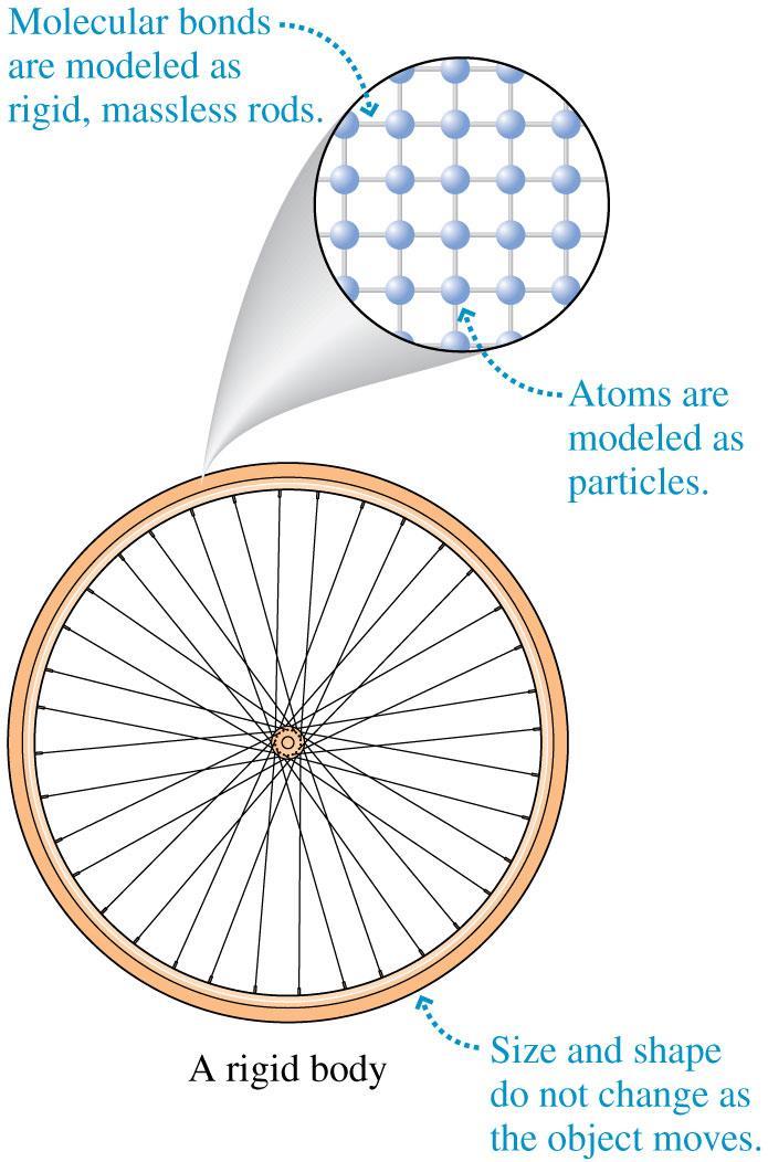 The Rotation of a Rigid Body A rigid body is an extended object whose size and shape do not