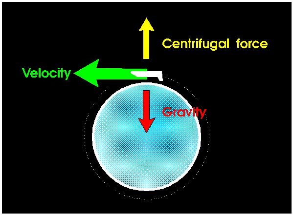 Centrifugal effect Produced by Earth s rotation, pushes objects away