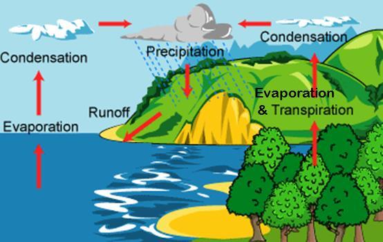 WATER VAPOR The Hydrologic Cycle H 2 O moves in