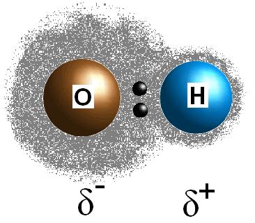 The result of this pattern of unequal electron association is a charge separation in the