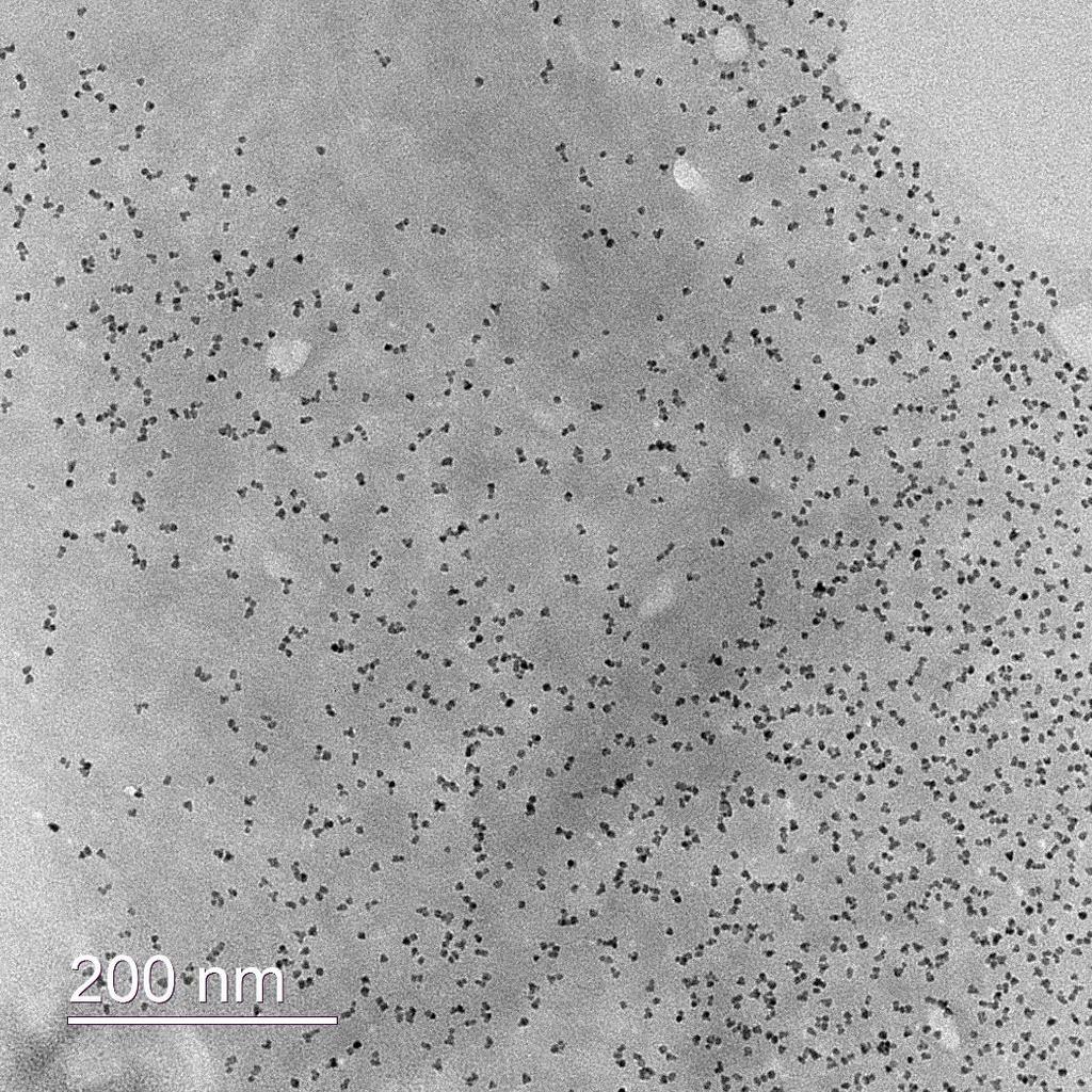 Figure S17. TEM image of CdSe/CdS/polyfluorene hybrid particles. Large interparticle distance between nanocrystals can be observed.