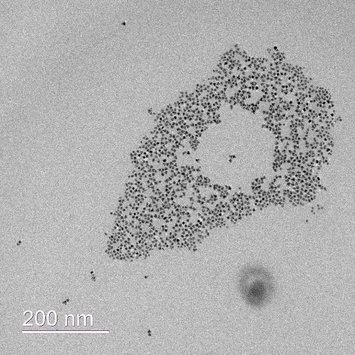 Figure S18. TEM image of a physical mixture of CdSe/CdS quantum dots and nonfunctionalized polythiophene. TEM image of a physical mixture of CdSe/CdS/polythiophene.