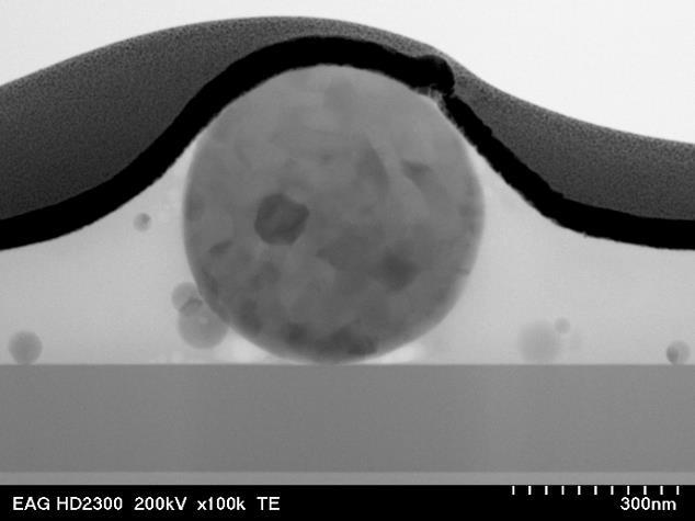 Microscopy SEM, AFM, TEM, optical
