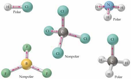 Examples of polar and nonpolar molecules (all contain