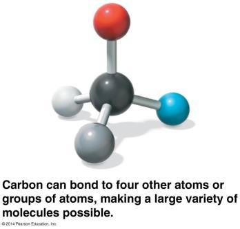 4.2 Carbon atoms can form diverse molecules by bonding to four other atoms: The ability of carbon to form