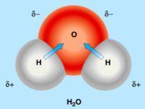 electrons shared equally by 2 atoms example: hydrocarbons = C x x methane (C 4 )