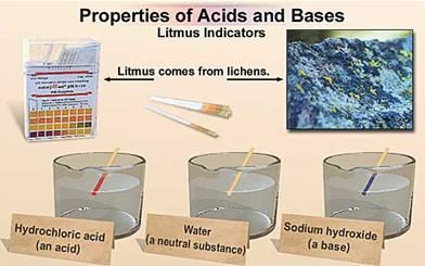 Bases / Basic / Alkalinity Less H+ ions in