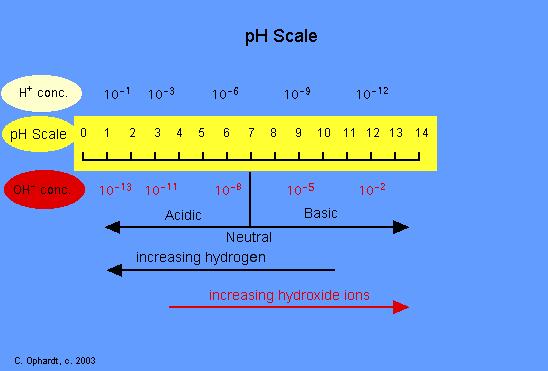 ph Scale Principle: H + ion concentration and ph relate